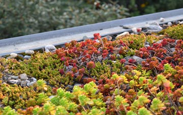 the cost of Hall Santon green roof installation