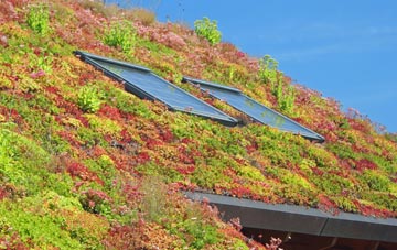Hall Santon living roof systems